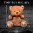 Gagged Teddy Bear Plush