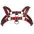 Bulldog Harness - Red